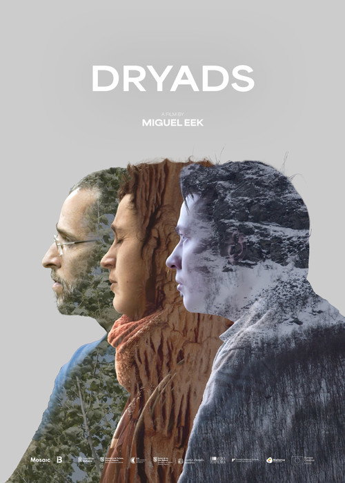 Dríades movie poster