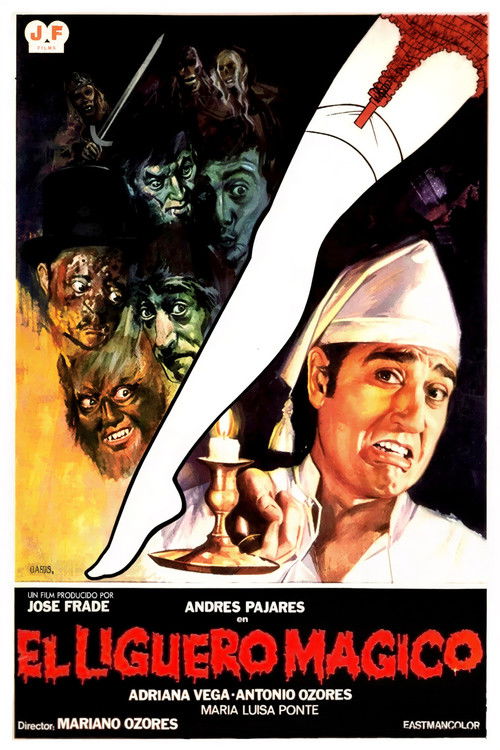 The Magic Garter Belt (1980) movie poster