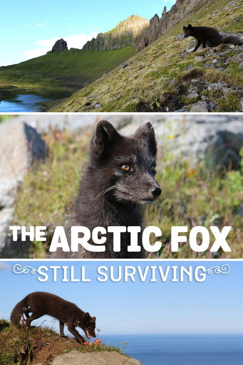The Arctic Fox: Still Surviving (2015) movie poster
