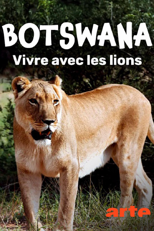 Botswana, Leben mit Löwen (2026) movie poster
