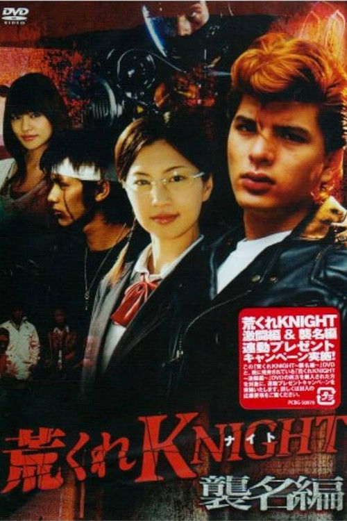 Wild Knight: Succession Arc (2007) movie poster