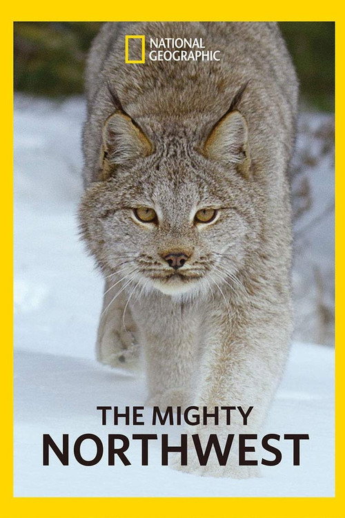 The Mighty Northwest (2018) TV show poster