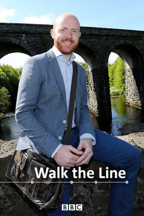 Walk the Line (2014) TV show poster