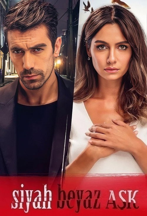 Price Of Passion (2017) TV show poster