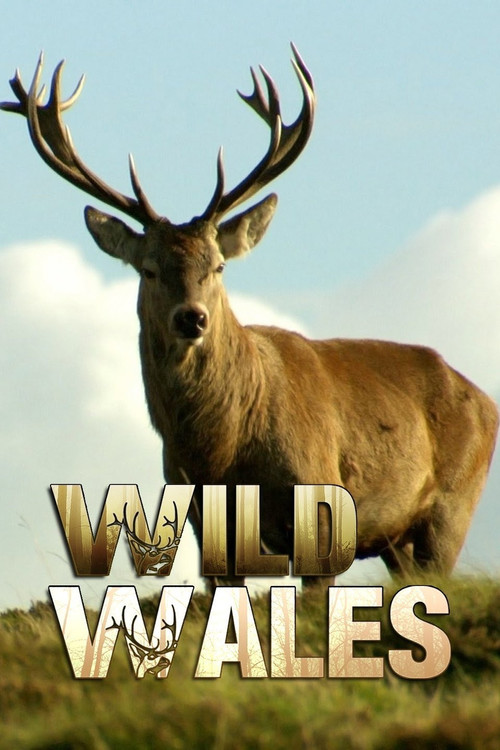 Wild Wales (2010) TV show poster