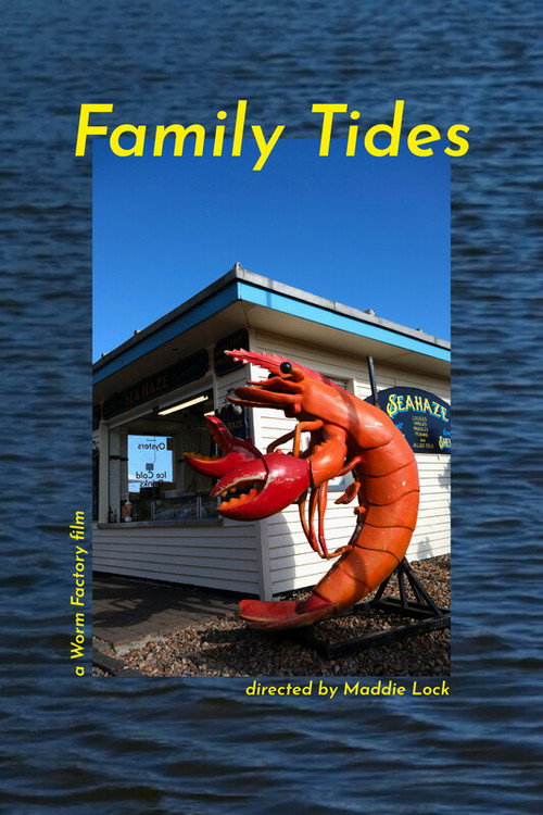 Family Tides (2026) movie poster