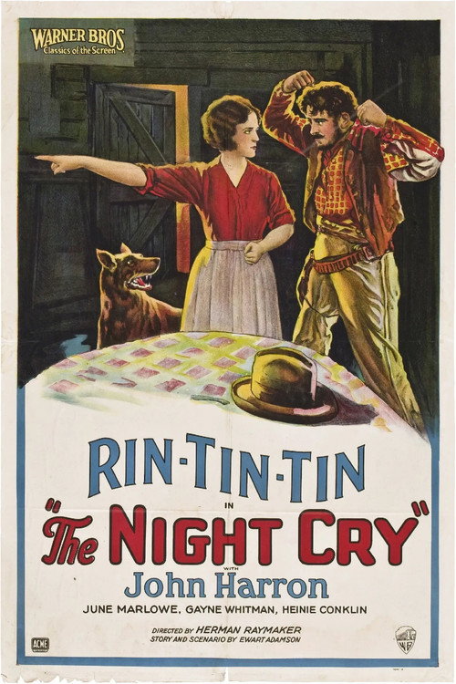 The Night Cry (1926) movie poster