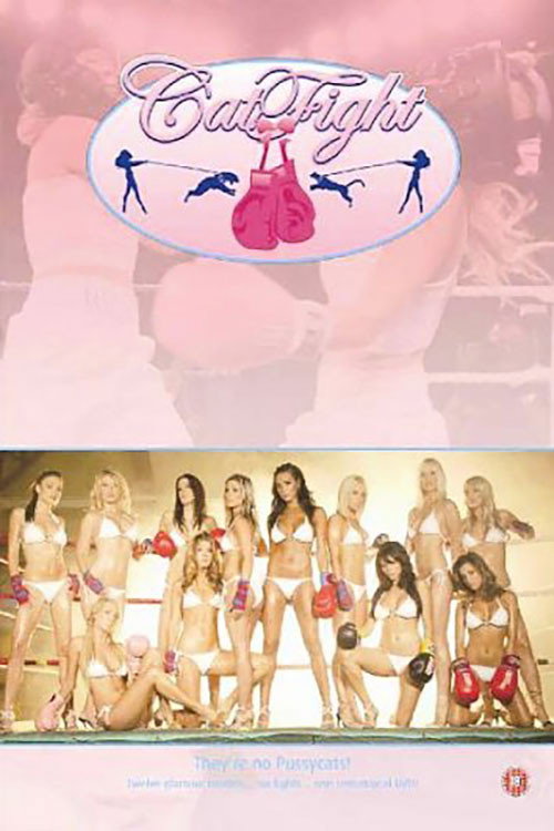 CatFight (2006) movie poster