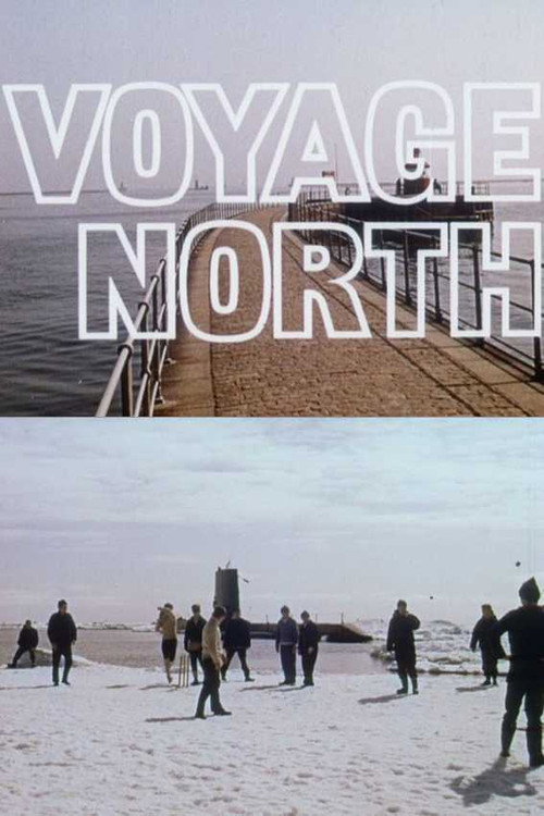 Voyage North (1965) movie poster