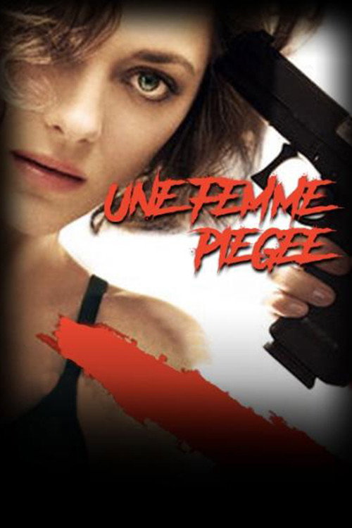 A Woman in Danger (2001) movie poster