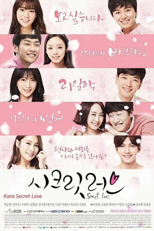 Secret Love (2014) TV show poster