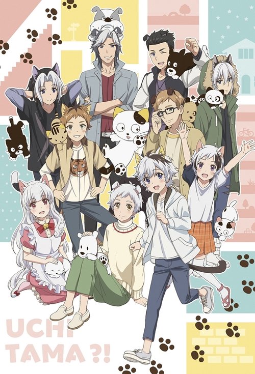 Uchitama?! Have You Seen My Tama? (2020) TV show poster