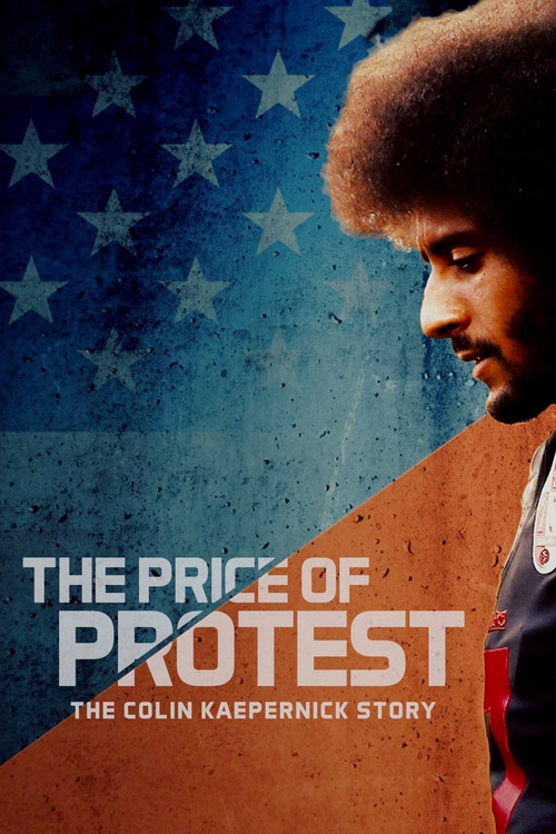 The Price of Protest (2019) movie poster