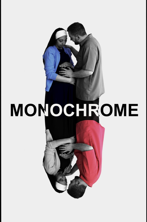 Monochrome (2025) movie poster