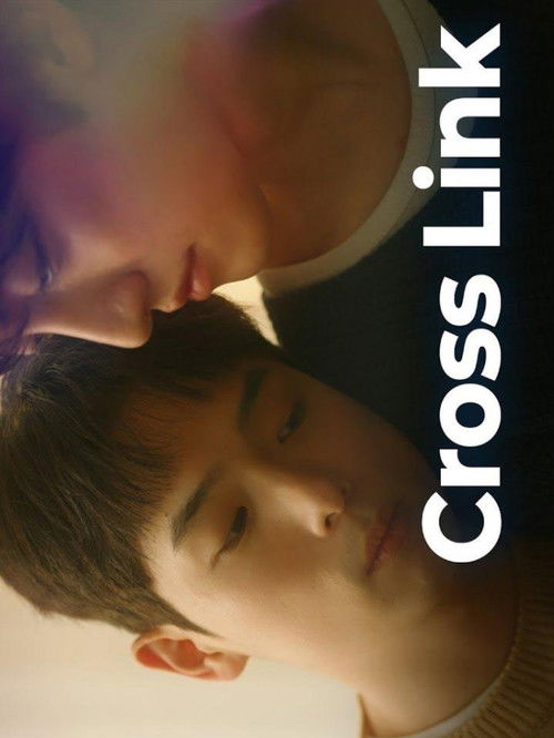 Cross Link (2026) TV show poster