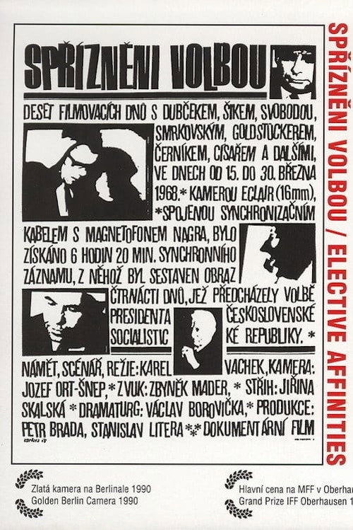 Elective Affinities (1968) movie poster