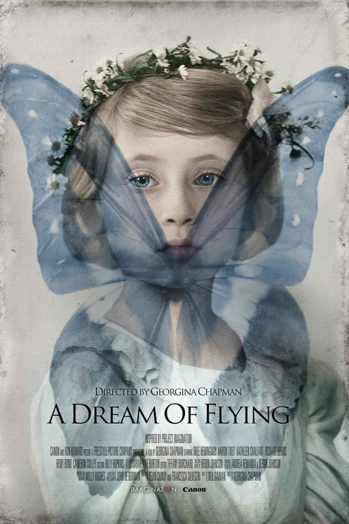 A Dream of Flying (2013) movie poster