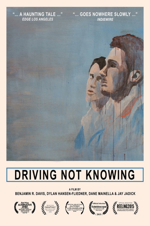 Driving Not Knowing (2015) movie poster