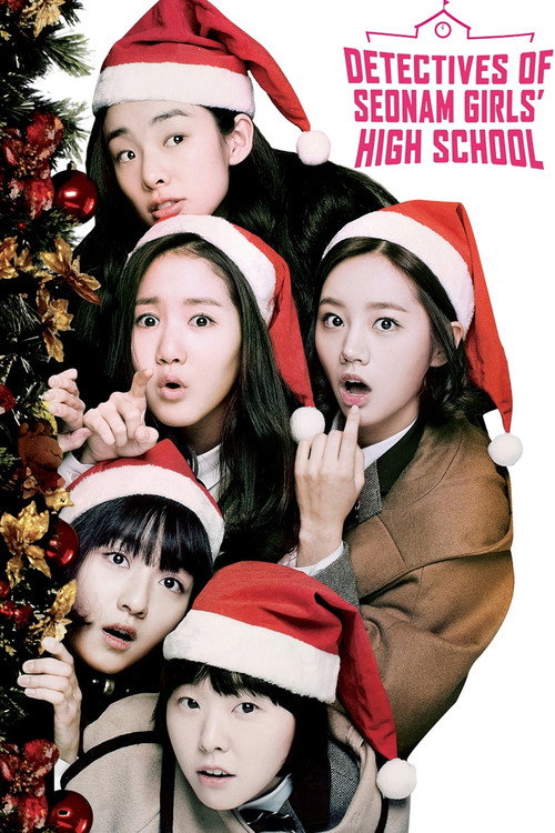 Detectives of Seonam Girls' High School (2014) TV show poster