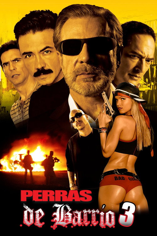 Perras de barrio 3 (2018) movie poster