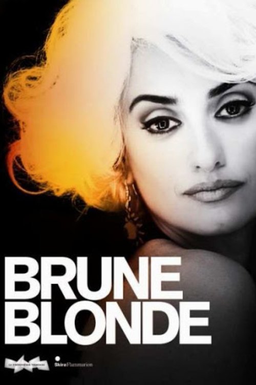 Brunes et Blondes (2010) movie poster