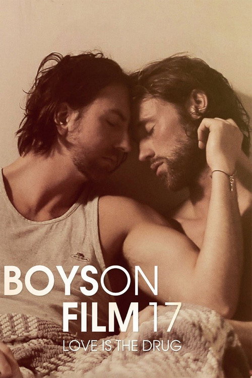Boys On Film 17: Love Is the Drug (2017) movie poster