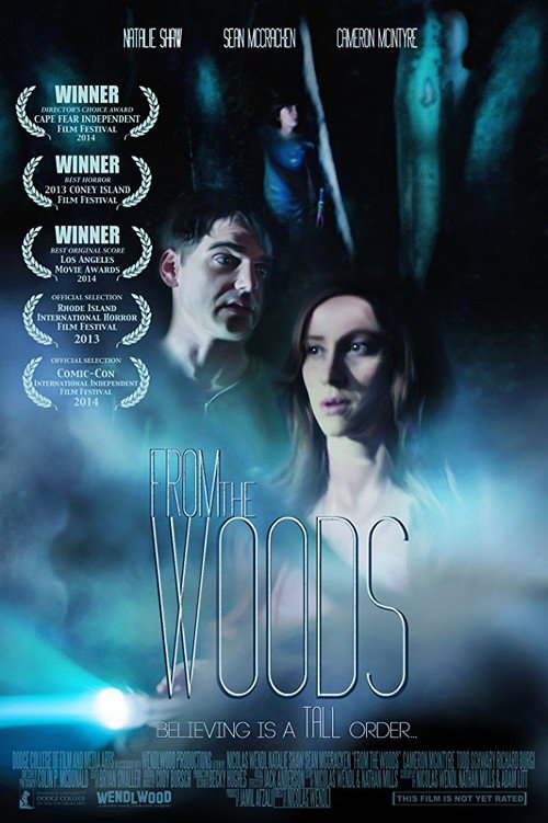 From The Woods (2013) movie poster