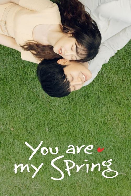 You Are My Spring (2021) TV show poster