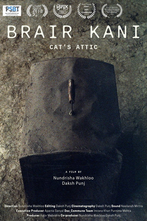 Cat's Attic (2023) movie poster