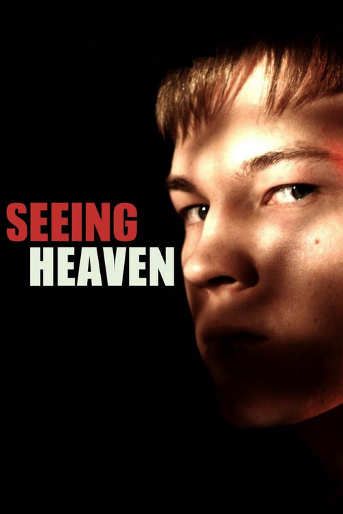 Seeing Heaven (2011) movie poster