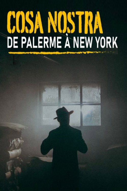 Cosa Nostra, de Palerme à New York (2018) TV show poster