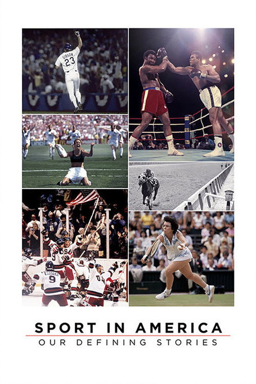 Sport in America: Our Defining Stories (2013) movie poster