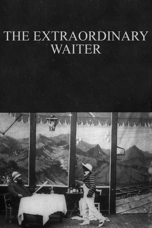 The Extraordinary Waiter (1902) movie poster