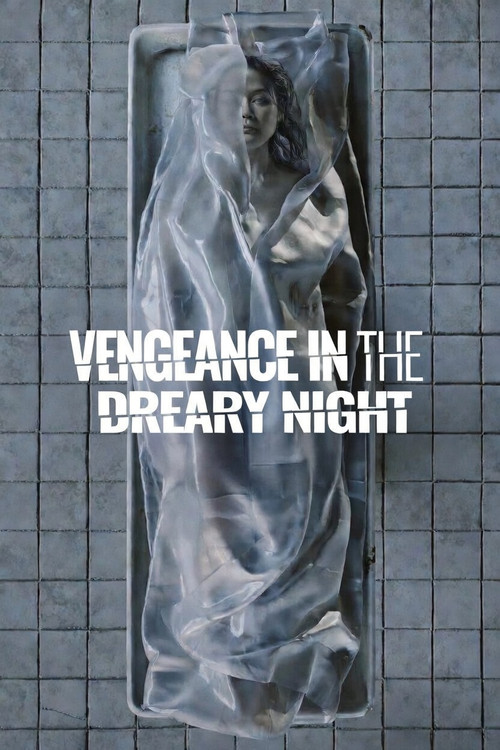 Vengeance in the Dreary Night (2025) movie poster