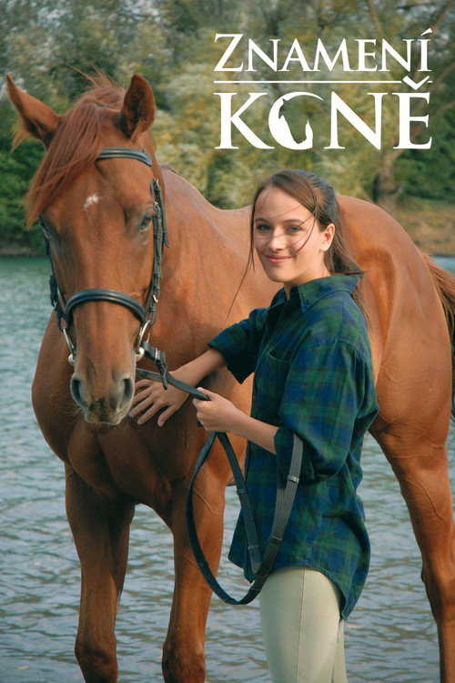 Znamení koně (2011) TV show poster
