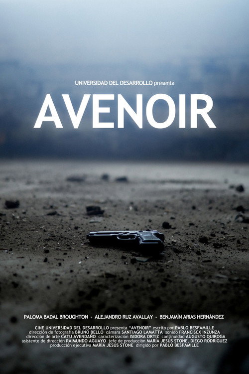Avenoir movie poster