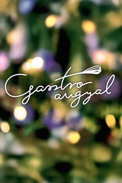 Gasztroangyal TV show poster
