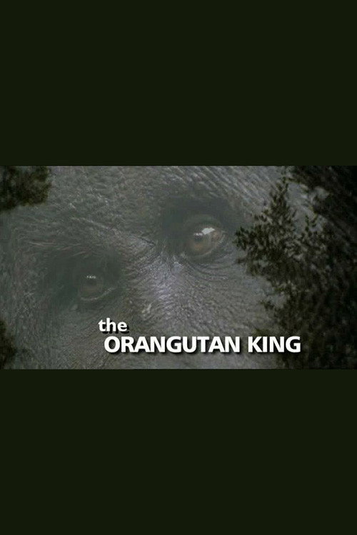 The Orangutan King (2005) movie poster