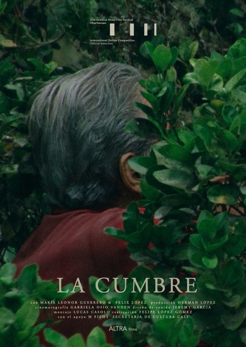 La Cumbre (2021) movie poster