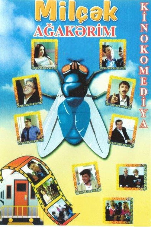 Fly (2006) movie poster