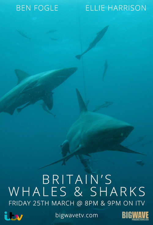Britain's Whales and Sharks (2016) TV show poster