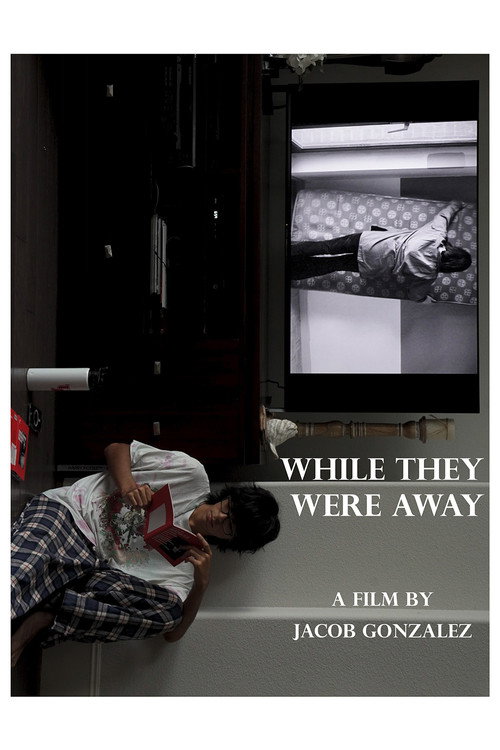 While They Were Away (2026) movie poster