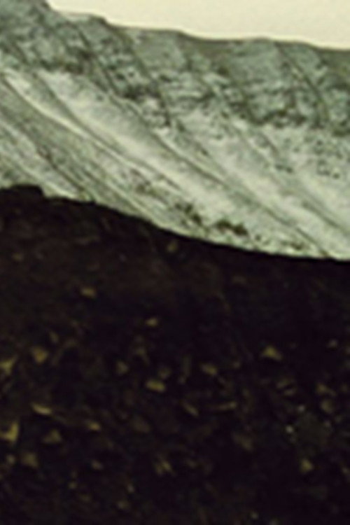 Adrift (2004) movie poster
