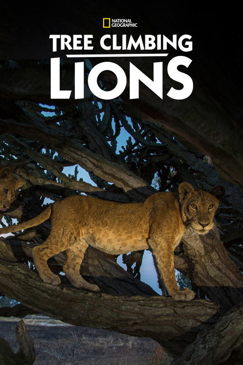 Tree Climbing Lions (2018) movie poster