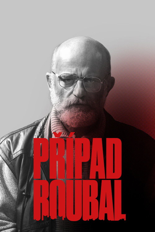 The Roubal Case (2021) TV show poster