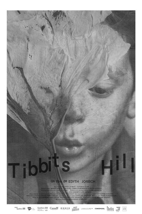 Tibbits Hill (2021) movie poster