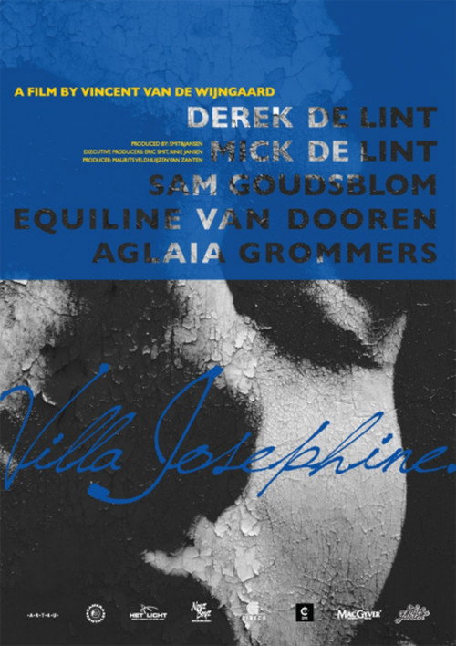 Villa Josephine (2010) movie poster
