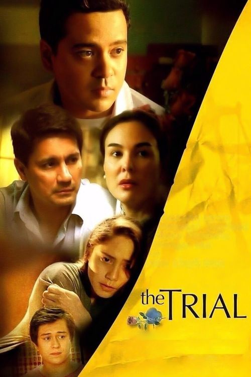 The Trial (2014) movie poster