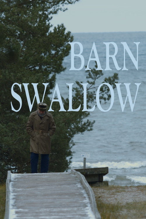 Barn Swallow (2025) movie poster