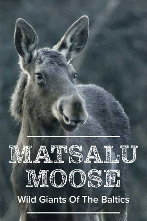Matsalu Moose: Wild Giants of the Baltics (2019) movie poster